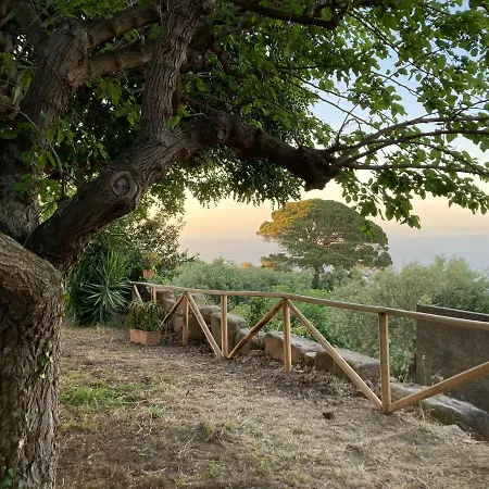 Belvedere 2 In Greco